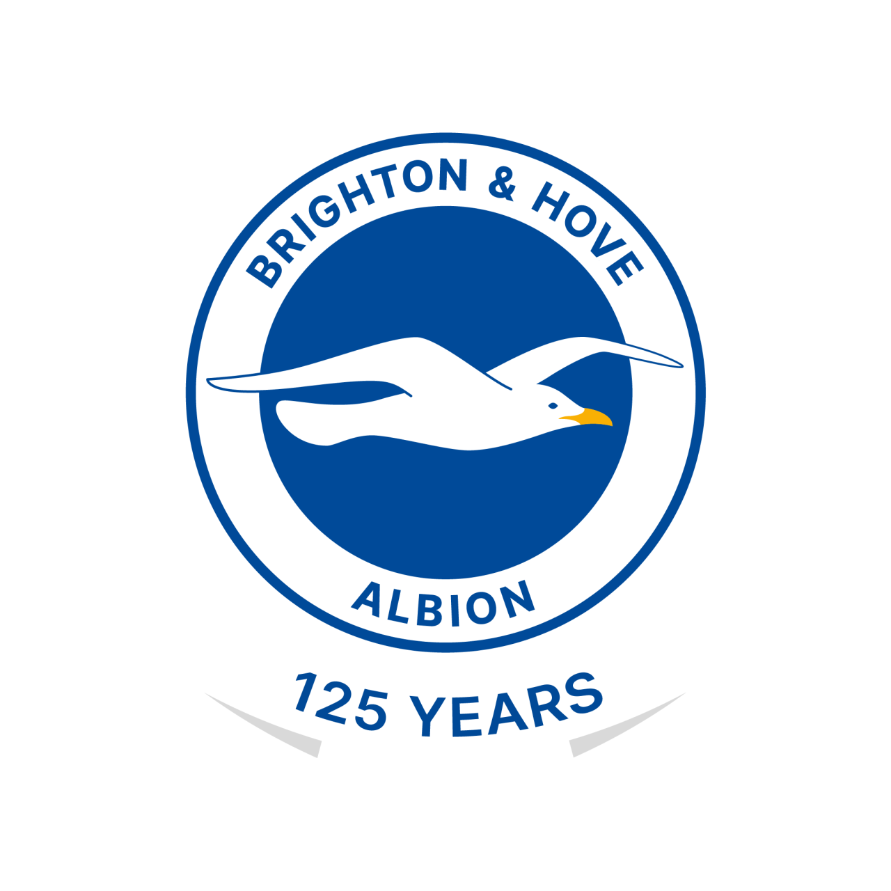 Brighton & Hove Albion LED lichtbak