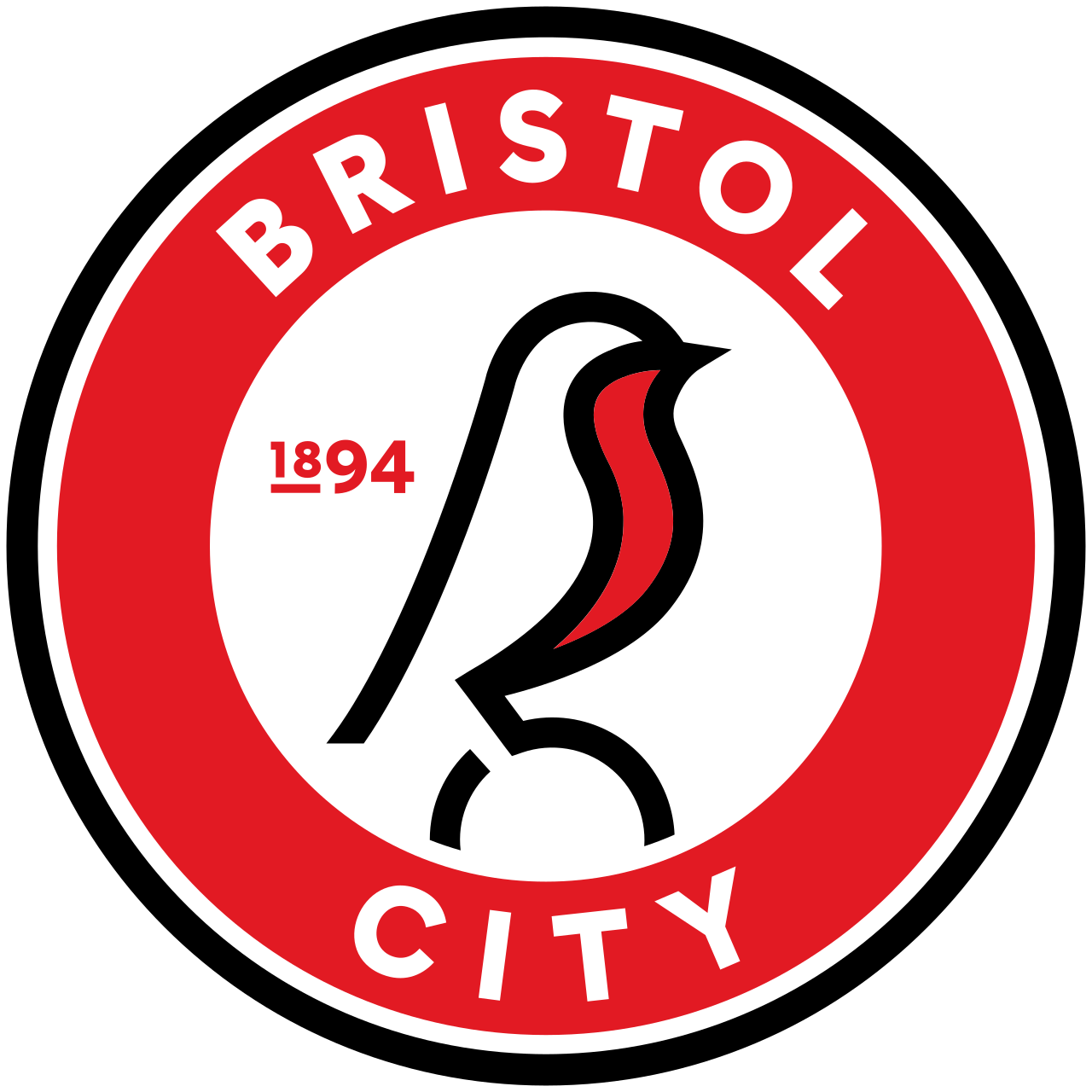 Bristol City LED lichtbak
